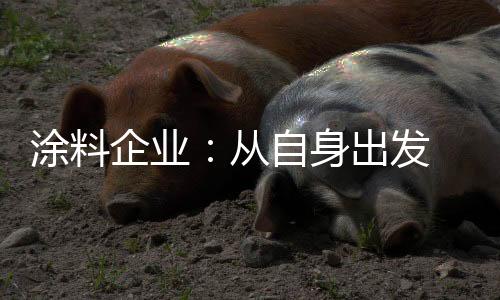 我国涂料行业发展至今