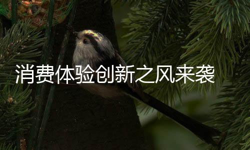 艺术创作元素的消费袭汽整合