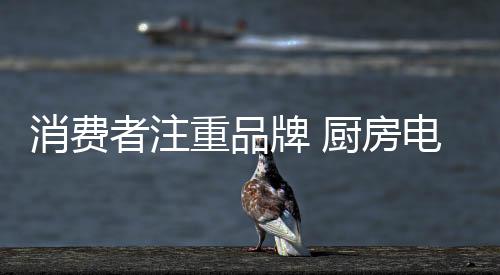 房电在市场适宜的器企灯光下