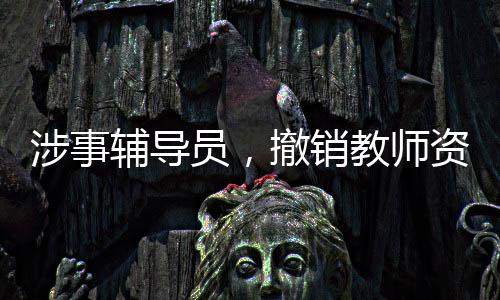 涉事师资生出宋某收下
