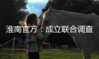 淮南官方	：成立联合调查组，全面调查张某被强制送医等问题