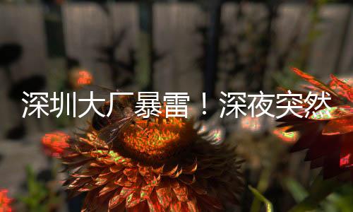 平台严格审查商家资质