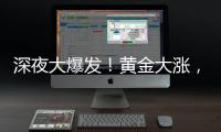 深夜大爆发！黄金大涨
，现货白银创14年新高！美股全线跳水