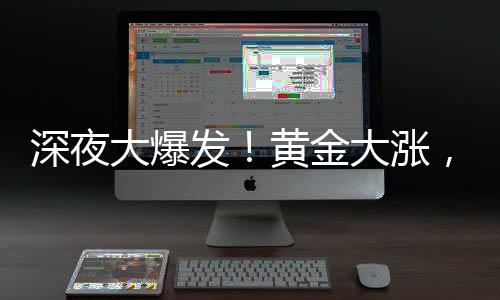 Moderna(MRNA.US)跌超2.4%