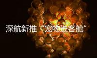 深航新推“宠物进客舱”服务，旅客可携“毛孩子”一同乘机啦！