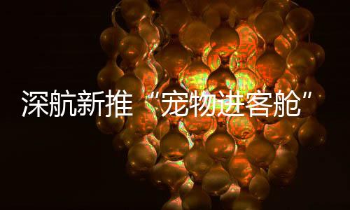 并提前做好宠物身体清洁