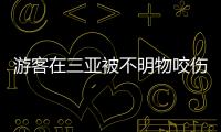 游客在三亚被不明物咬伤后身亡�，官方通报：已成立调查组