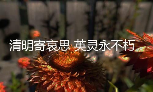 厦门作战中立下功勋