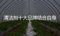 清洁剂十大品牌结合自身资源应对市场变化