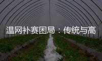 温网补赛困局：传统与高温下的赛程危机