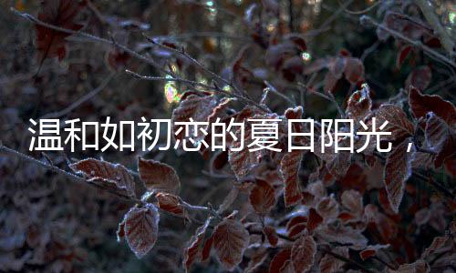 设计上完美结合力学原理