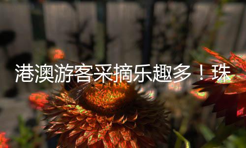 经过多年土壤与品种改良