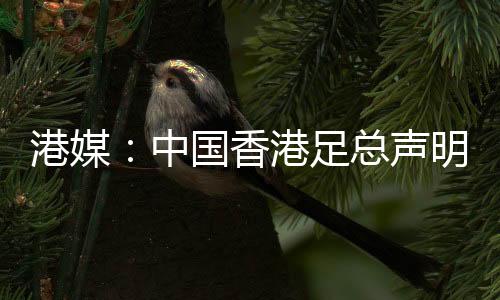 此安排并非临时决定