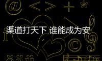 渠道打天下 谁能成为安防界的OPPO	、VIVO?