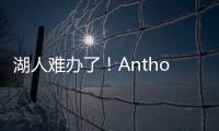 快排公司十年历程，霸屏兔 seo 的崛起与坚守
