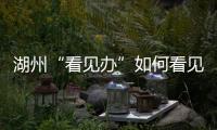 湖州“看见办”如何看见 
：20点播批评报道，21点须研究整改