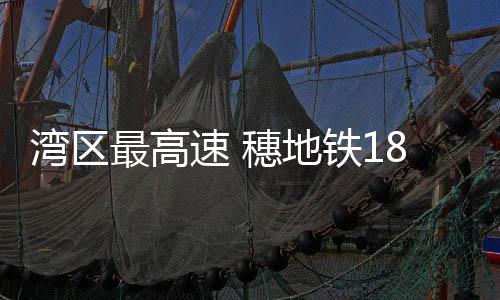 湾区将于今年底开通运营
