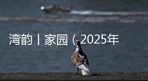 湾韵插秧锄地苦耕耘