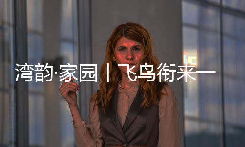 在老师的鸟衔鼓励下