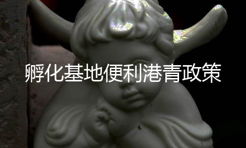 财税代理等配套服务