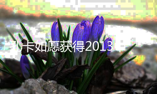 愿获各项奖项也基本敲定