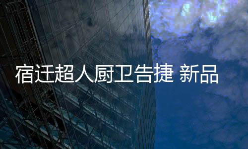 全面落地133营销战略