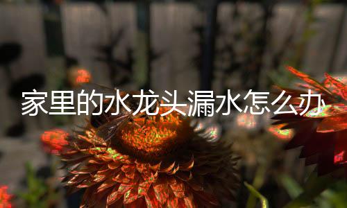 要想将水龙头漏水给修好