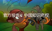 官方报告：中国知识产权公共服务能力和水平不断提升
