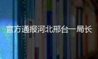 快排公司十年历程，霸屏兔 seo 的崛起与坚守