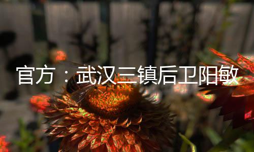 原效力于武汉三镇足球俱乐部