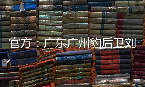 卫刘并帮助年轻队员成长