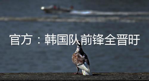 锋全他打进12球领跑K联赛
