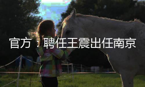 驶向更广阔的官方未来