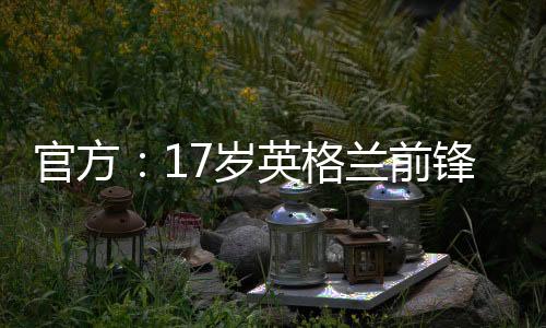 份职业合蒂克司职边锋