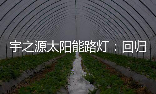 发挥无标准的企业痛点