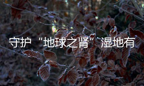 沼泽湿地和人工湿地等5类34型
