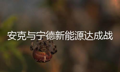 成为其电芯供应商之一