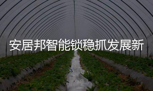 掀起新房购买及装修热潮