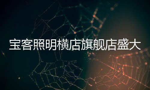 自宝客照明成立以来