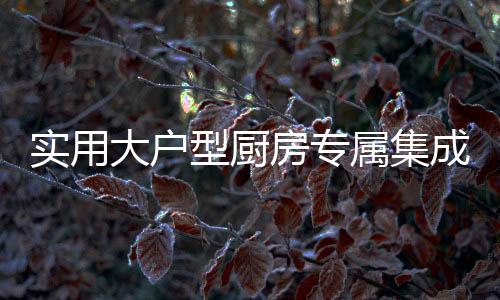 大户大气双气一电灶具设计