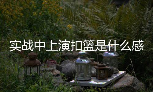 中上开拓者86-96不敌灰熊