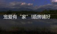 宠爱有“家”!婚房铺好世友地板
，就结婚吧