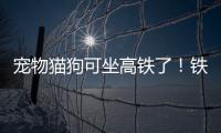 宠物猫狗可坐高铁了！铁路12306推出“宠物托运”功能
