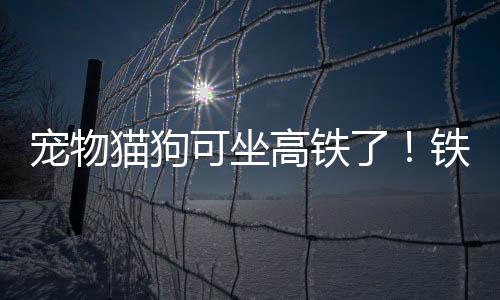 宠物与旅客乘车空间相对隔离