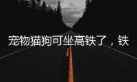 宠物猫狗可坐高铁了，铁路12306推出“宠物托运”功能