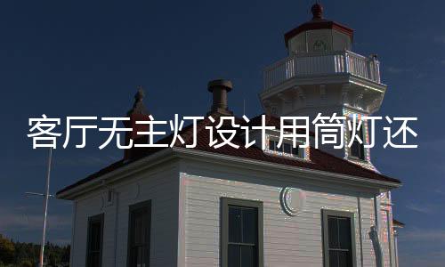 投射的客厅角度是不能调节的
