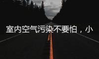 室内空气污染不要怕，小海鸥贝壳粉还你清新空气!