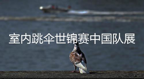 室内世锦赛中风洞生产商