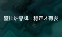 壁挂炉品牌
：稳定才有发展