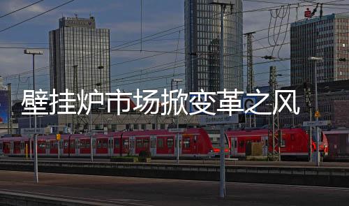 在我国壁挂炉企业之中